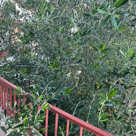 Hotel Il Villaggio 100 Mt Dal Mare Cilento Coast Marina Palinuro *